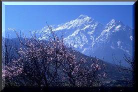 ヒマラヤ、ニルギリ南峰